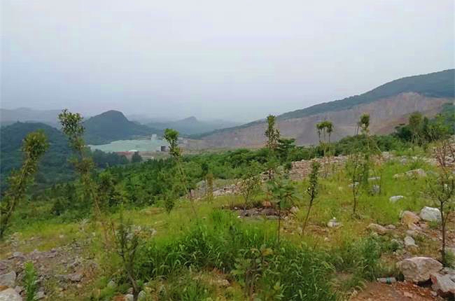 礦山復(fù)綠