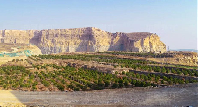 濟(jì)南平陰縣永發(fā)石料有限公司時(shí)產(chǎn)1000噸石子生產(chǎn)線綠化