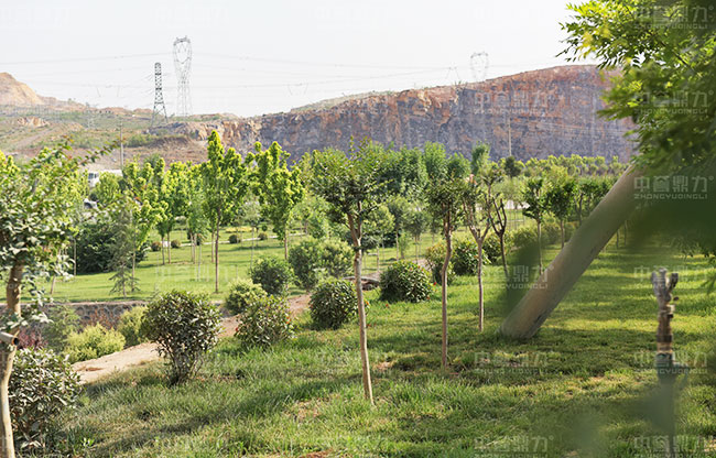 �˽�Vɽ�ޏ�(f��)������r