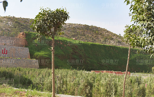 �˽�Vɽ�ޏ�(f��)������r